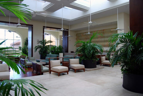 How to Create a Relaxing Hotel Lobby
