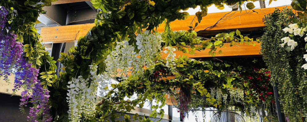 How Brothers Townsville Created a New Overhead Landscape Using a Large-Scale Artificial Green Canopy