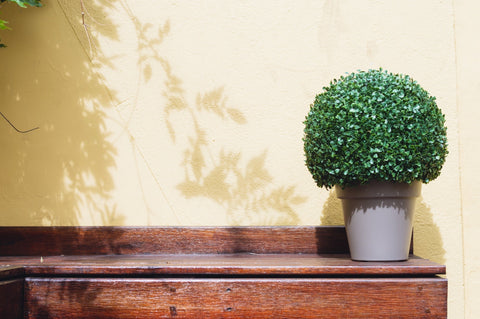 How to secure artificial plants outdoors