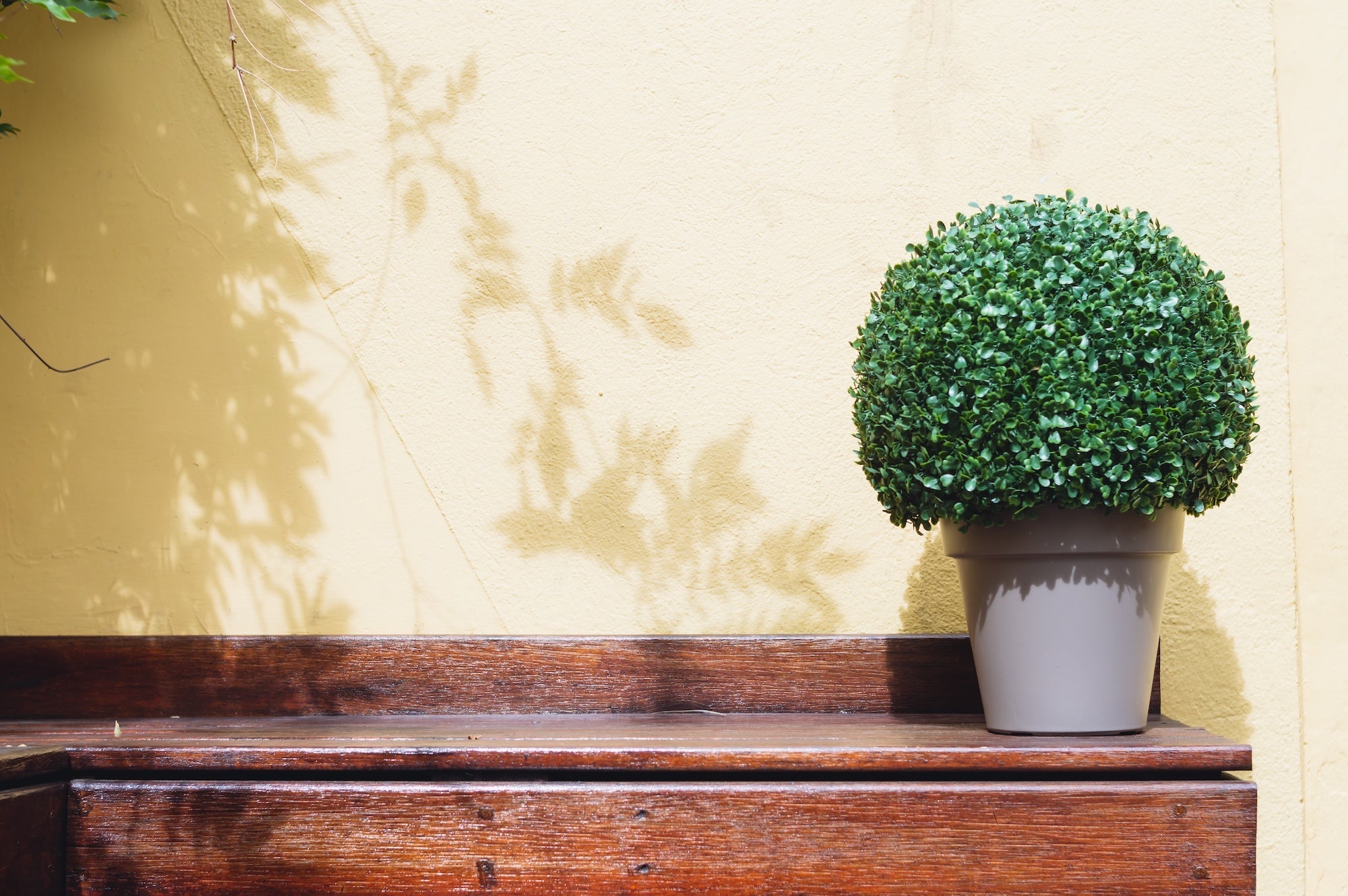 How to secure artificial plants outdoors