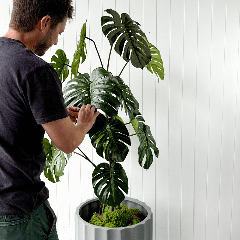 How to Identify Quality Artificial Plants  Evergreen Walls