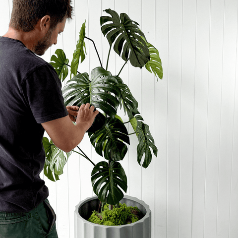 How to Identify Good Fake Plants
