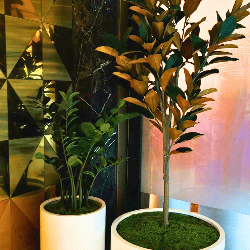 The difference between a room that looks designed and one that just looks expensive? Greenery.