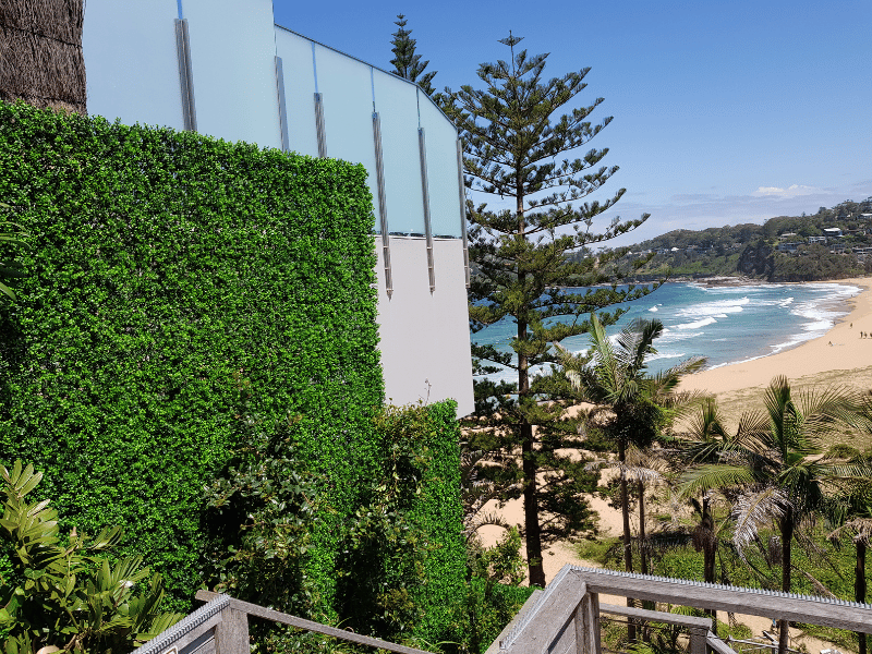 Classic Boxwood In Whale Beach Residential Project
