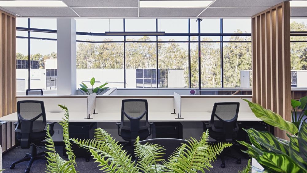A Comprehensive Guide to Choosing the Best Indoor Greenery for Your Office - Evergreen Walls