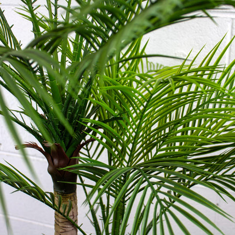 Artificial plants that won't fade in the sun - A guide to choosing the best greenery - Evergreen Walls