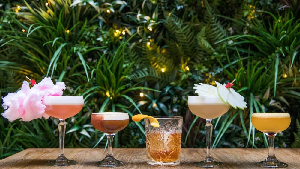 Assembly Bar Kent, Sydney, Green Wall Installation, Hospitality Fitout - Evergreen Walls