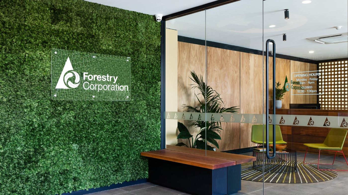 Biophilic Design And How It Can Bring Huge Benefits To The Workplace - Evergreen Walls