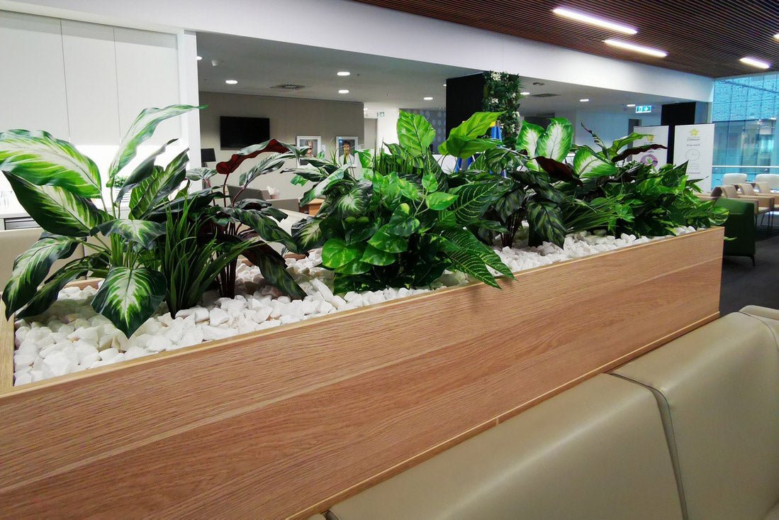 Chris O'Brien Lifehouse Installation - Evergreen Walls