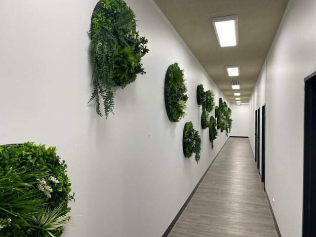 Clarence Property, Workplace Hallway Faux Green Disc Installation - Evergreen Walls