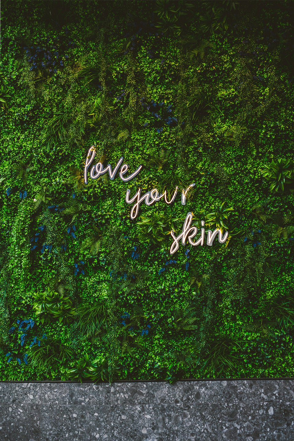 Cutis Dermatology Clinic, Brisbane, Artificial Green Wall and Signage Fitout - Evergreen Walls