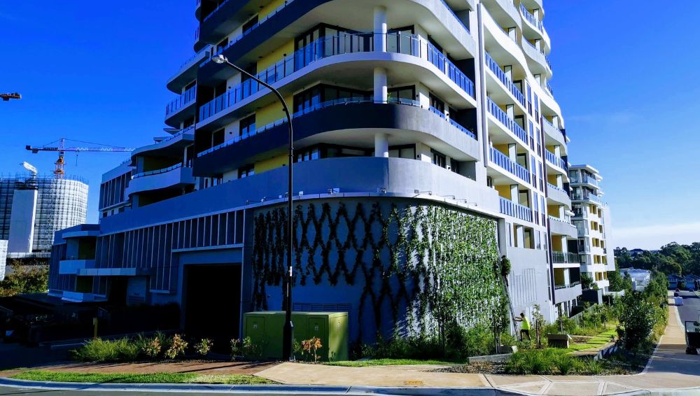 Elevate Your Business with These Outdoor Commercial Space Design Ideas - Evergreen Walls