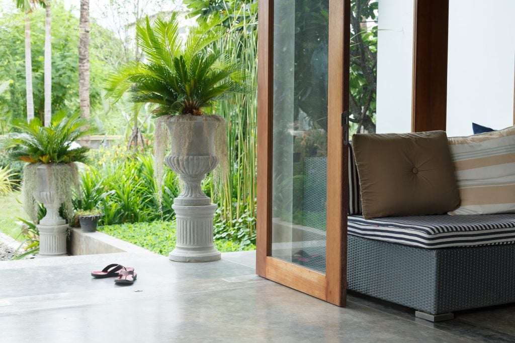 Embrace Summer Interior Design Trends with Green Wall Plants - Evergreen Walls