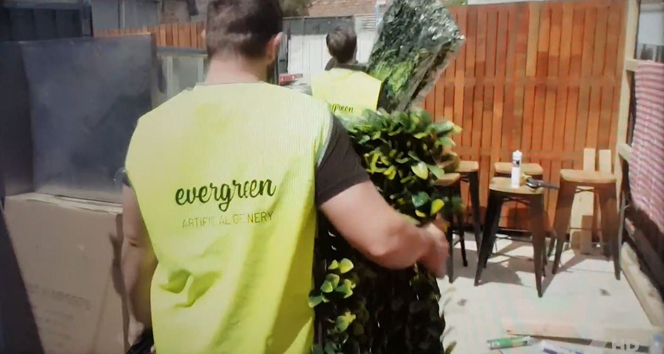 Evergreen Walls Featured on Channel 7’s 'The Mentor' - Evergreen Walls