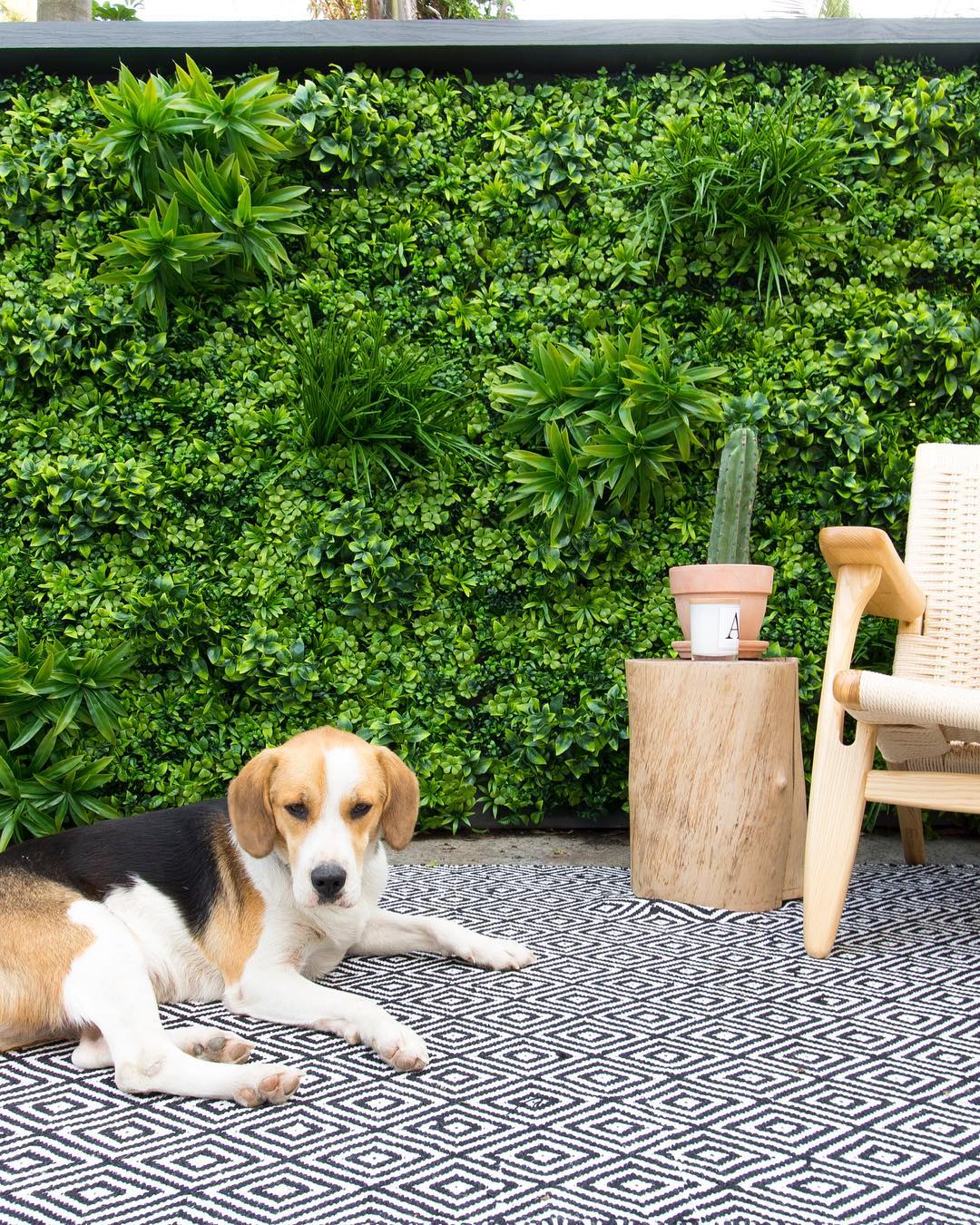 How much does a green wall cost? - Evergreen Walls