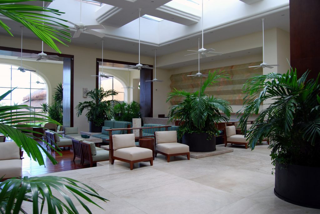 How to Create a Relaxing Hotel Lobby - Evergreen Walls