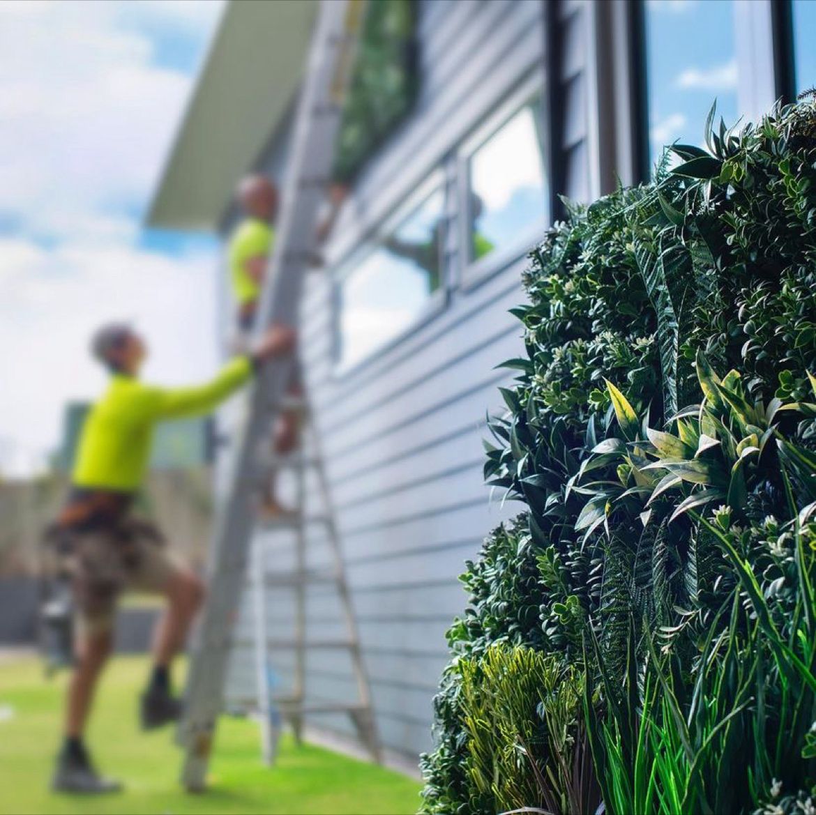 Multhana Property Services - Queensland Artificial Greenery Exterior Project - Evergreen Walls