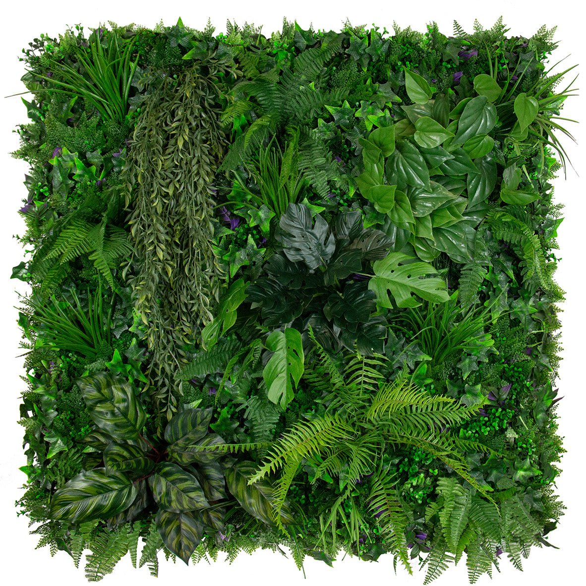 New Product: Urban Rainforest - Evergreen Walls