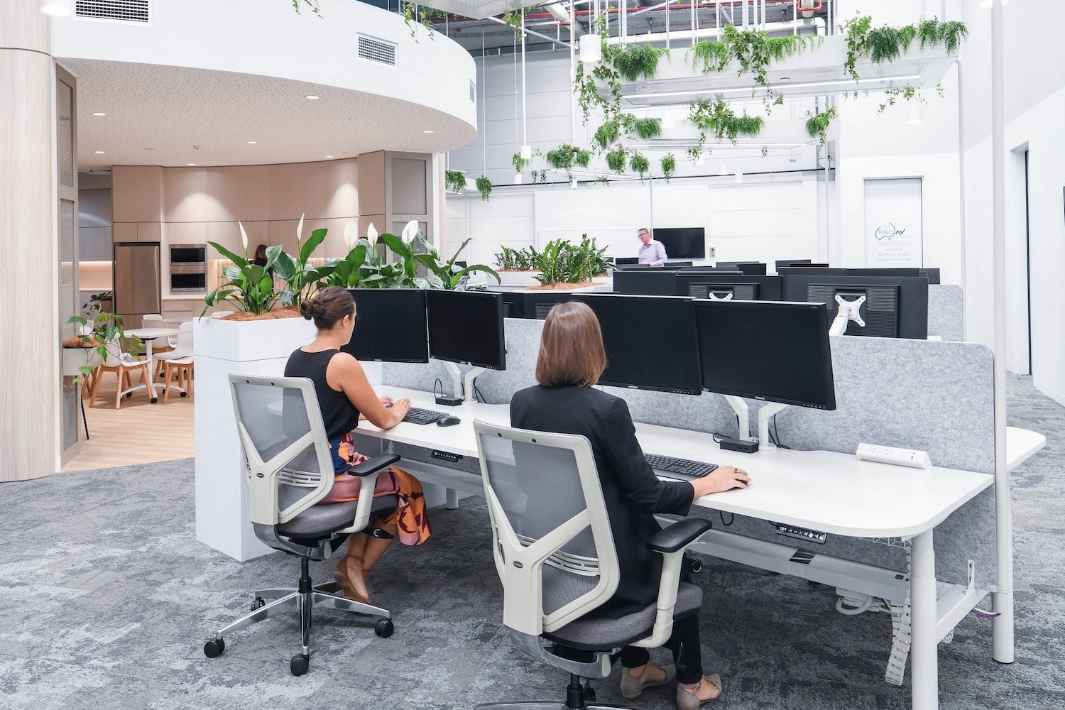 ProAV Solutions Workplace  - Evergreen Faux Greenery Office Fitout - Evergreen Walls