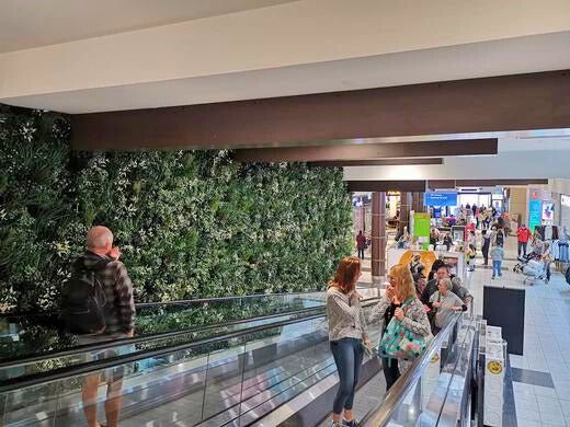 Shopping Centre, Charter Hall's Orange Central Square| Faux Green Wall Escalator - Evergreen Walls