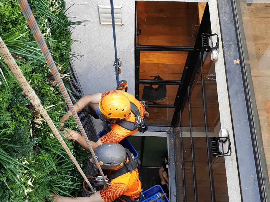 Step-by-Step: Installing Green Walls and Hedge Panels Without a Professional - Evergreen Walls