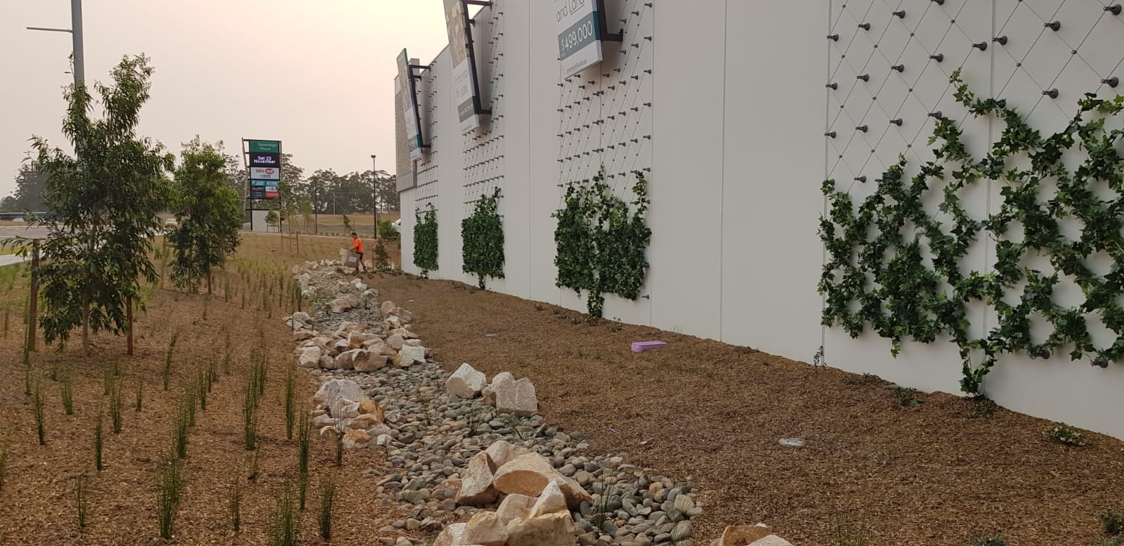 Stunning Wire Trellis for Climbing Plants: A Lewis Land Project in Port Macquarie NSW - Evergreen Walls