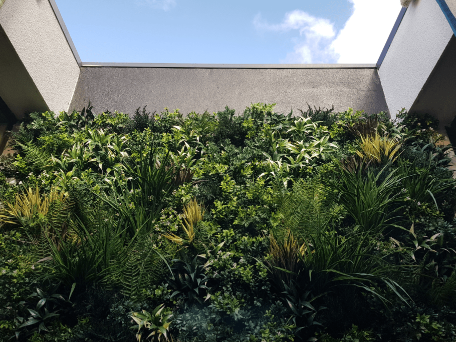 Sydney Residential Light Well | Living to Artificial Green Wall Installation - Evergreen Walls