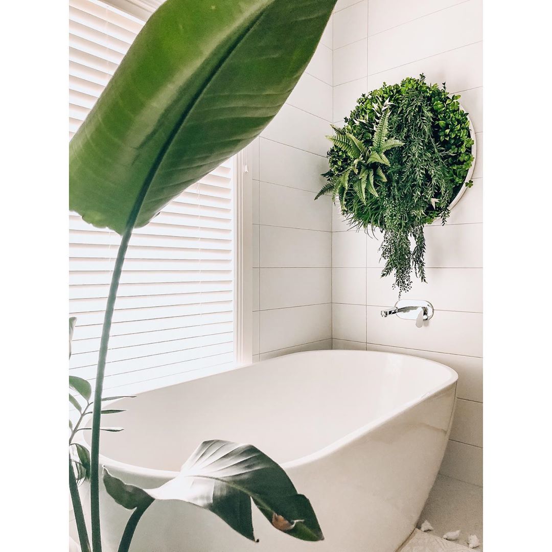The 10 Best Instagram Accounts To Learn How To Design With Plants - Evergreen Walls