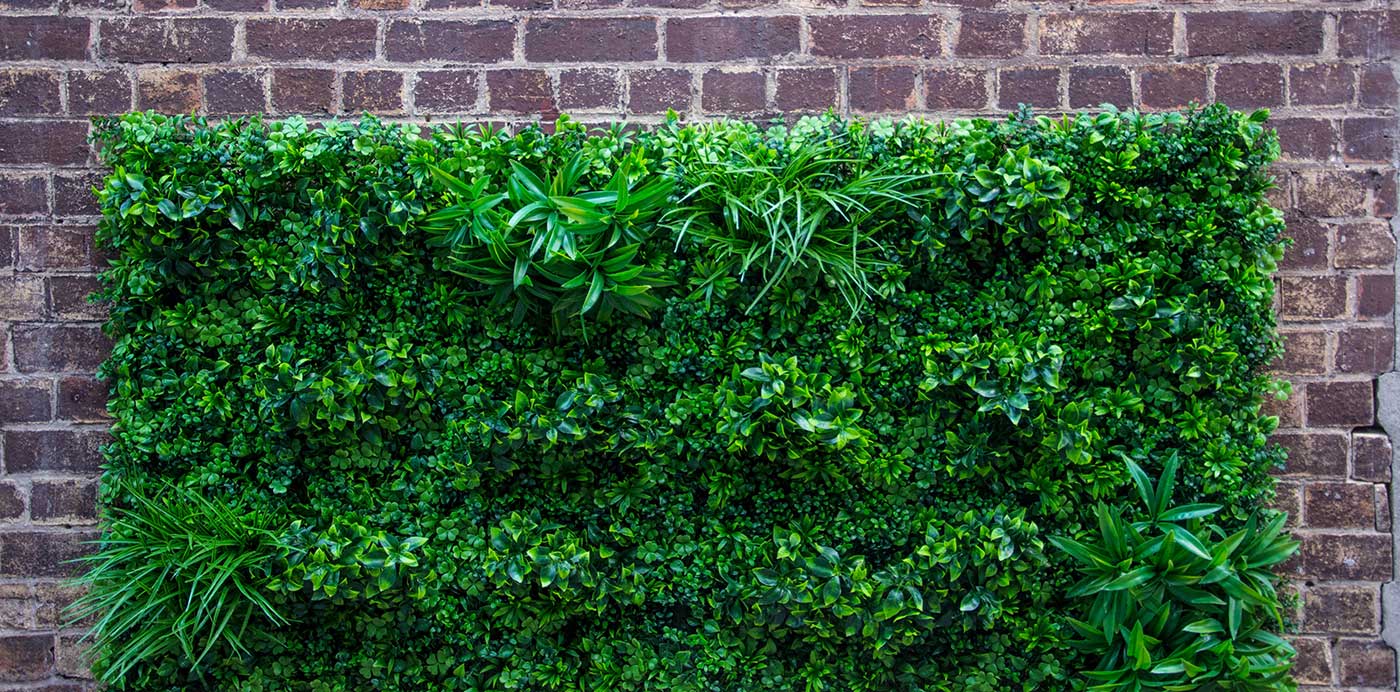 The Beginner's Guide to Vertical Garden Systems - Evergreen Walls
