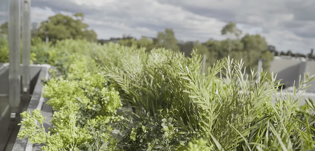 UV Treated Outdoor Planters - Evergreen Walls