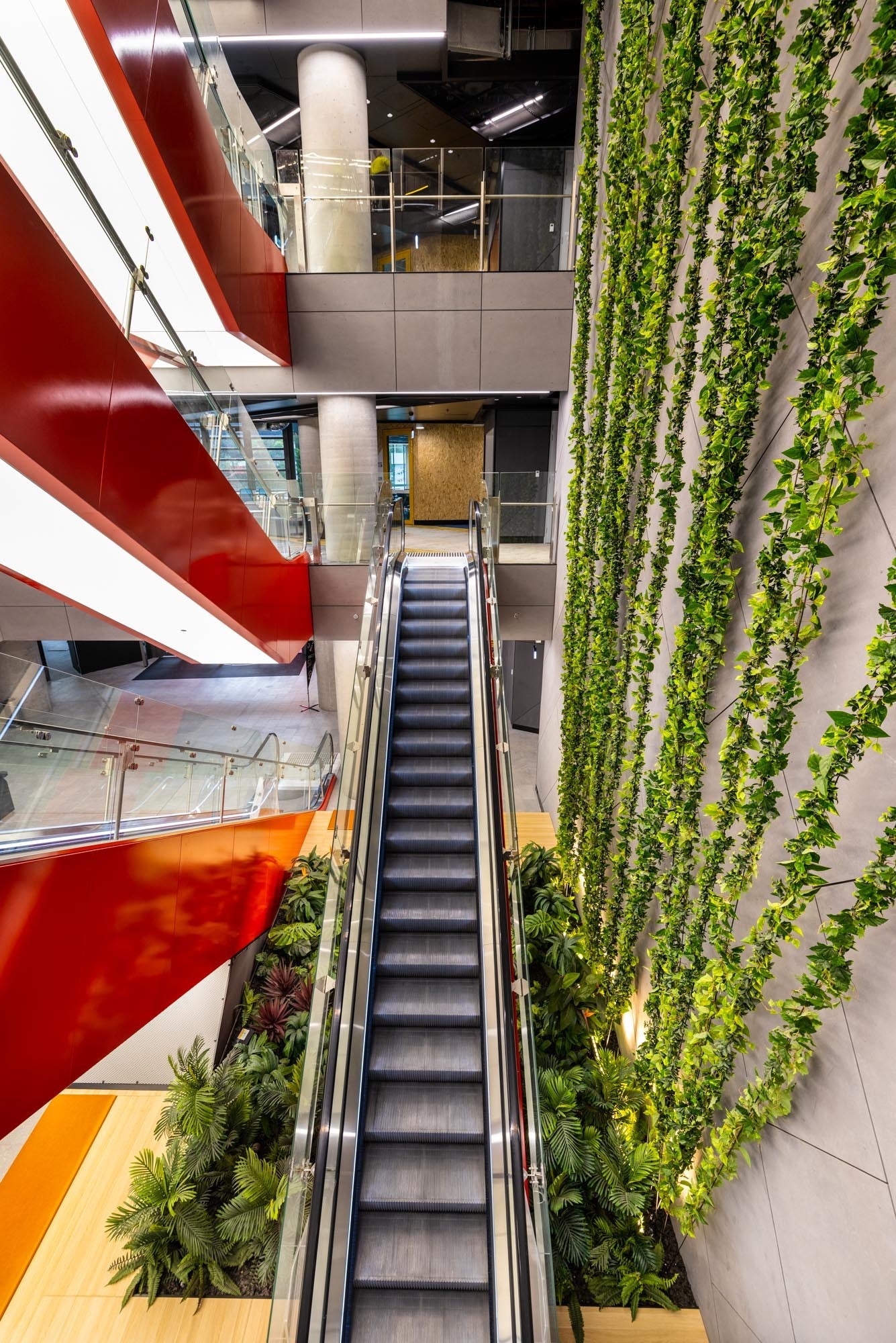 Western Sydney University Bankstown CBD Campus | Artificial Greenery Fitout - Evergreen Walls