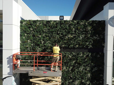 Why You Should Invest in Fire-Rated Artificial Green Wall Panels - Evergreen Walls