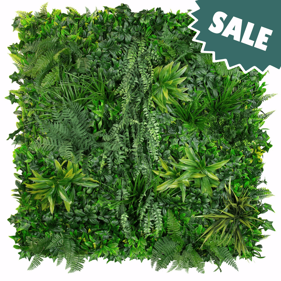 Coastal_Forest_Sale
