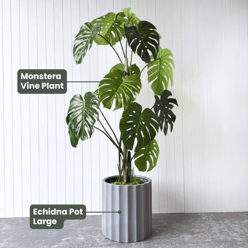 150cm Artificial Monstera Vine Plant in large Echidna pot with lifelike split leaves, ideal for indoor home and garden decor.