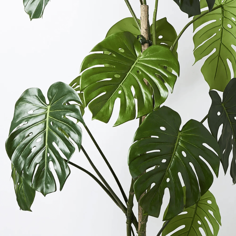 Close-up of Artificial Monstera Vine Plant leaves showing realistic split-leaf details and vibrant green tones for indoor decoration.