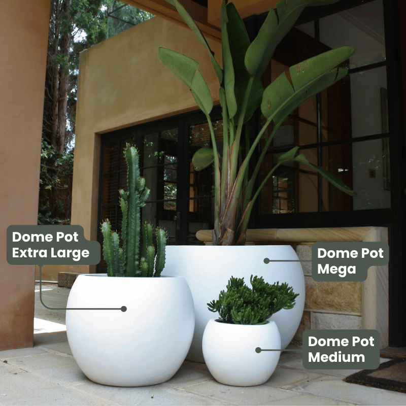 mega plant pots Lightweight Dome Pot | White | Spherical Planter for Feature Plants