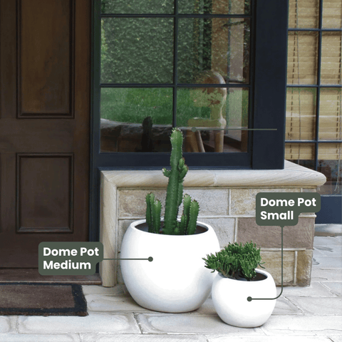 Lightweight Dome Pot | White