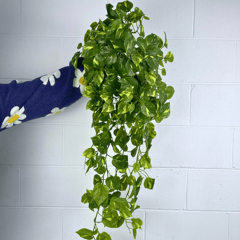 Artificial Pothos Hanging Bush