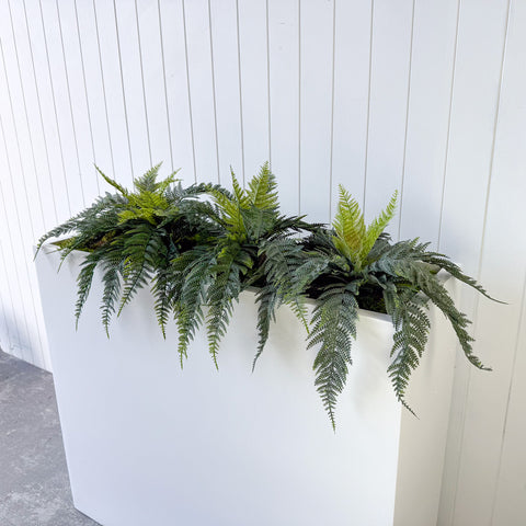 Leather Fern Bush UV Large 60cm