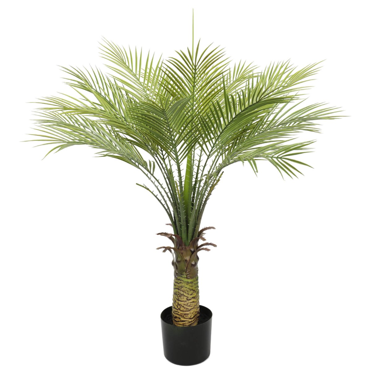 Baby Kentia Palm UV 95cm - Evergreen Walls