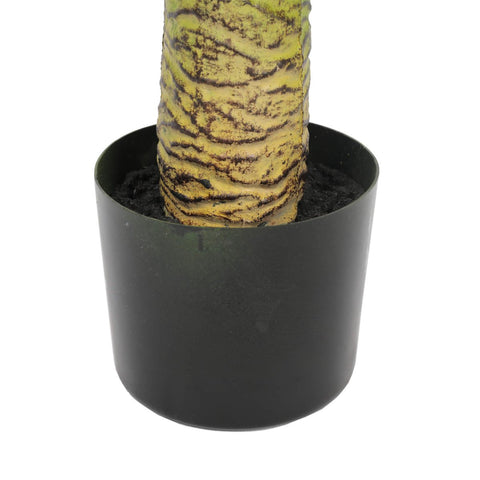 Baby Kentia Palm UV 95cm - Evergreen Walls