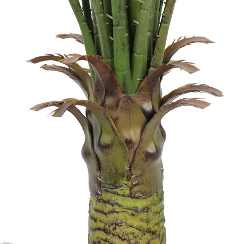 Baby Kentia Palm UV 95cm - Evergreen Walls