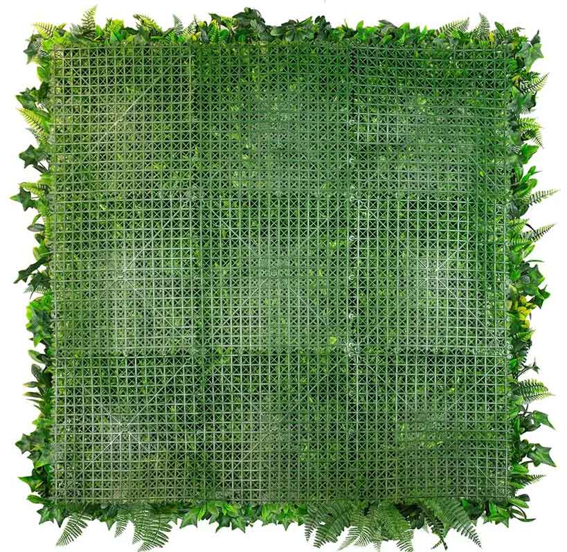 Coastal Bloom - Evergreen Walls