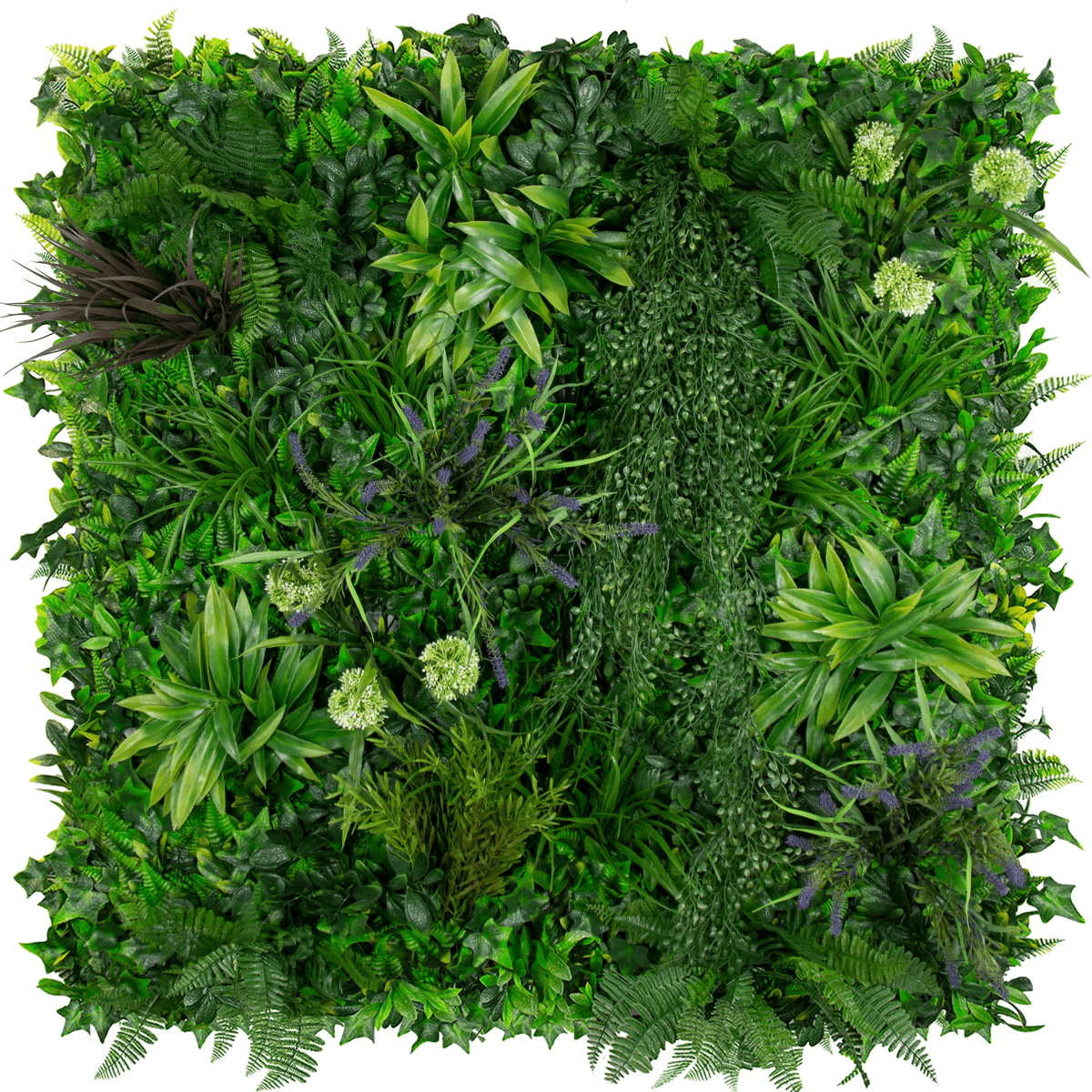 Coastal Bloom - Evergreen Walls