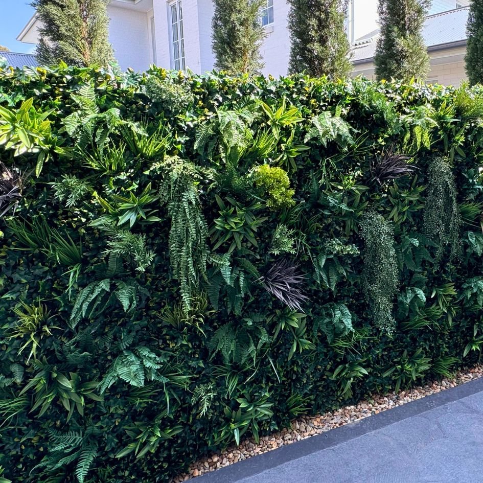 Coastal Luxe - Evergreen Walls