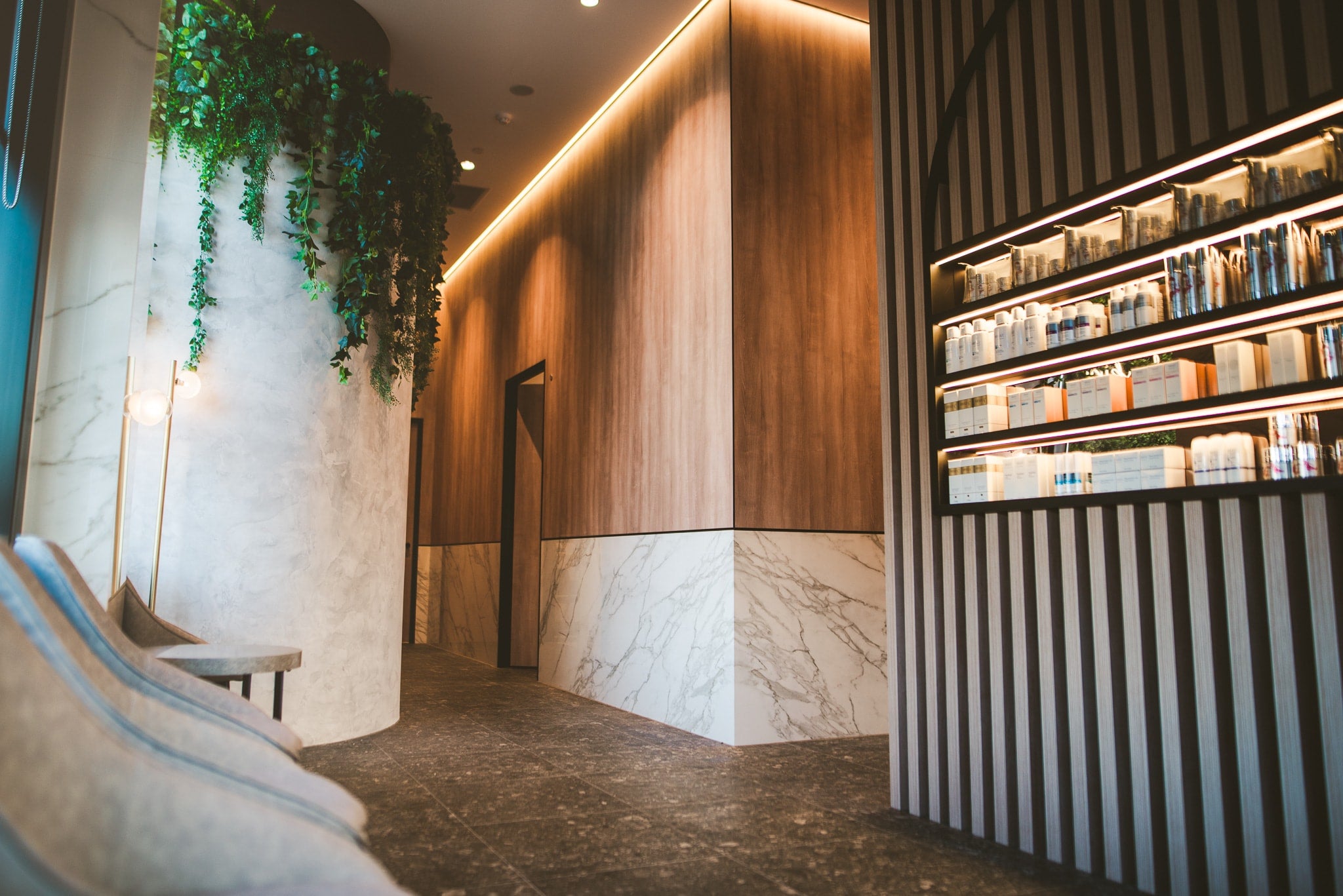 Cutis artificial hanging plants