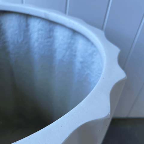 Echidna Pot Bundle - Evergreen Walls