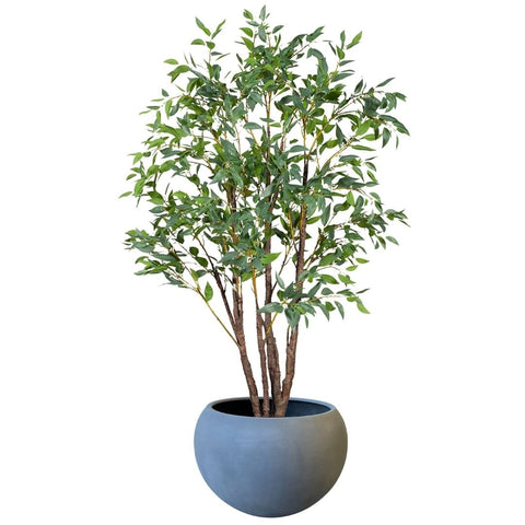 Eucalyptus Seed Tree 210cm - Evergreen Walls
