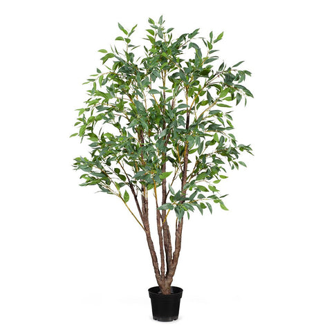 Eucalyptus Seed Tree 210cm - Evergreen Walls