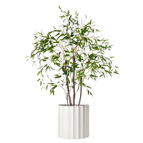 Eucalyptus Tree Green - Evergreen Walls